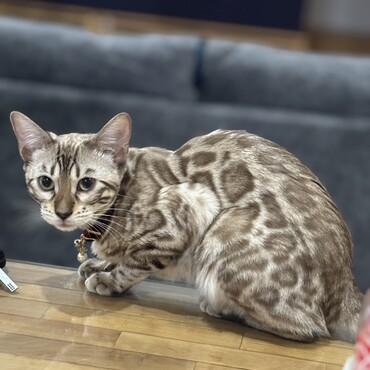 の写真