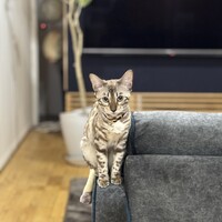 ベル