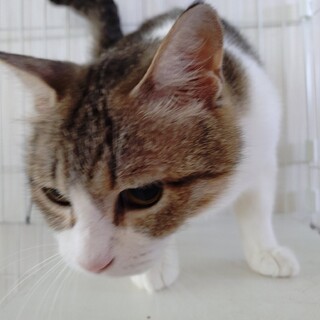 甘々の甘の♡“はた”ちゃんはストーカー女子