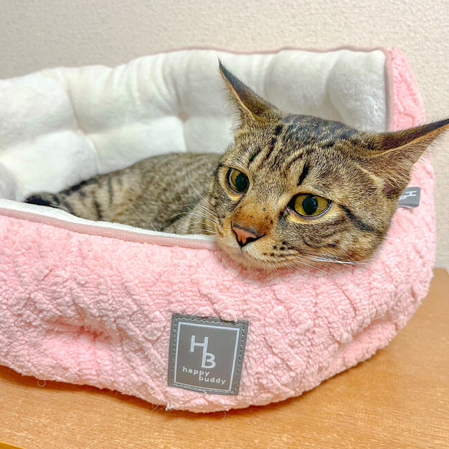 ねこまるーのカバー写真