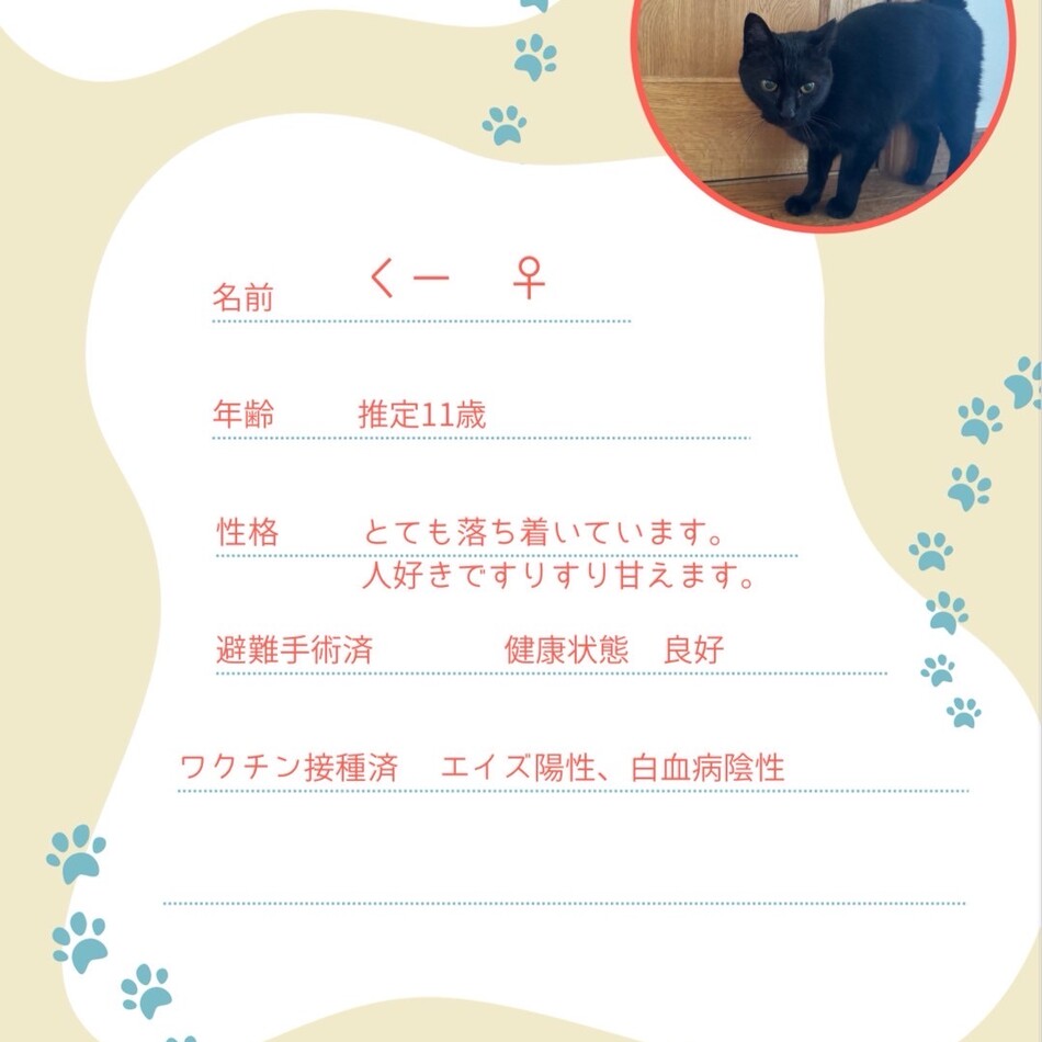 くーのカバー写真