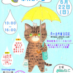 保護猫のふれあい会