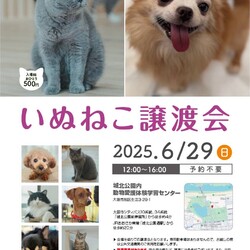 いぬねこ譲渡会