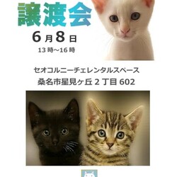 三重県桑名市6月8日(日)リトルパウエイド譲渡会