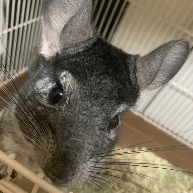 kuu.mのカバー写真