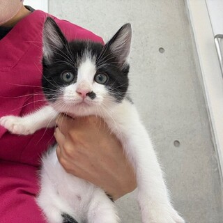 生後2ヶ月いくらちゃん！