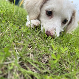 応募者様多数の為ここで募集は打ち切らせて頂きます