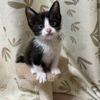 元気いっぱい♡ルイ君2ヶ月