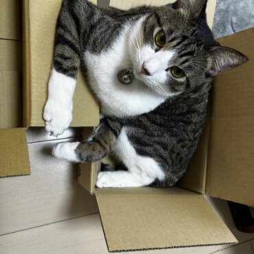 関口宏スタイル