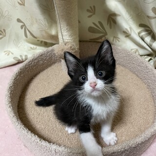 元気いっぱい♡ルイ君2ヶ月