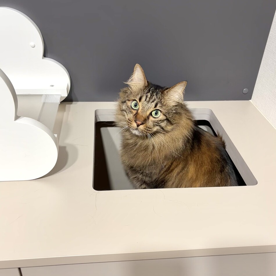 ジェイのカバー写真