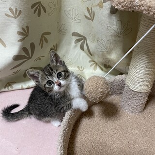 元気いっぱい♡エルちゃん2ヶ月