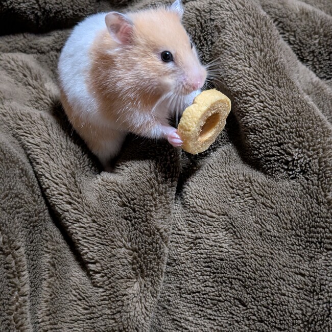 みんみ。のカバー写真