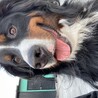 どうか、よろしくお願いいたします。 サムネイル2