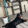 どうか、よろしくお願いいたします。 サムネイル4