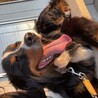 どうか、よろしくお願いいたします。 サムネイル5
