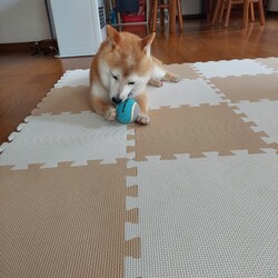 「ひと安心(ﾟーﾟ*)ﾎｯ~」サムネイル3