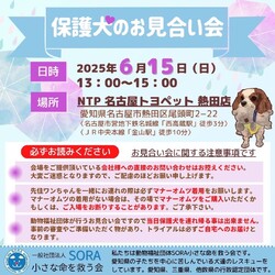 NTP 名古屋トヨペット熱田店様 お見合い会