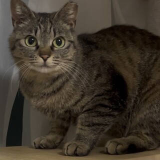 ナデナデ大好きな花音ちゃんです♪