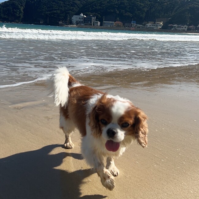 マル0922のカバー写真