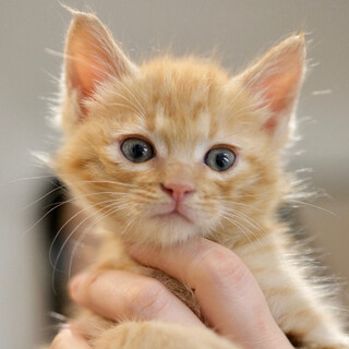 涼暮♡家族ができました