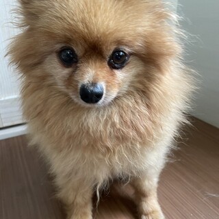 素敵なご縁がありました優しくて可愛らしい女の子