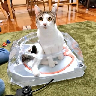 譲渡会にて里親様決定しました！