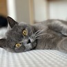 カメラの目の前まで来てくれるようになりました♡