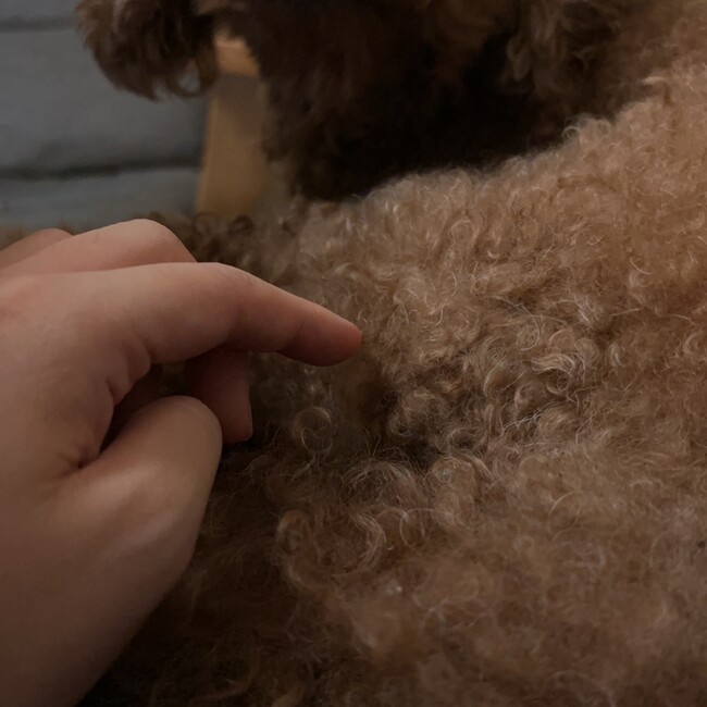 なあここのカバー写真