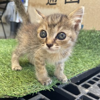 決まりました！