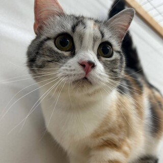 人懐こくて甘えん坊❤️