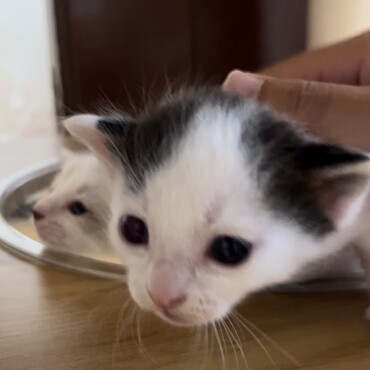 の写真