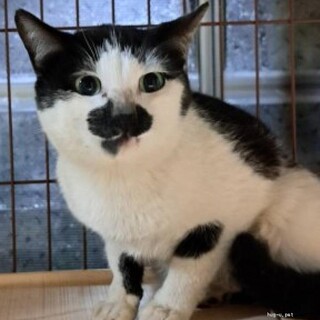 べたべたすりすり八割れ坊や9カ月