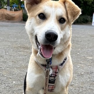 人馴れ抜群！天真爛漫な女の子ベビ