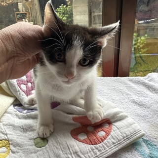 ちょっとビビリかな？