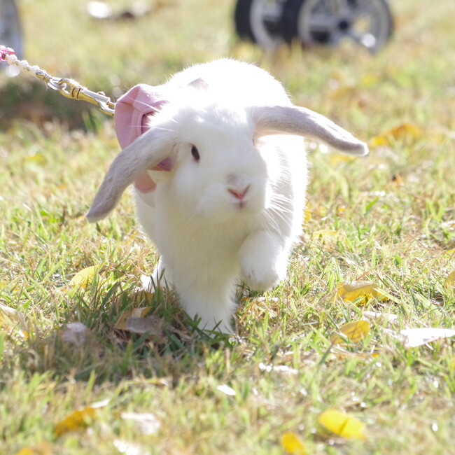 みぃ27のカバー写真