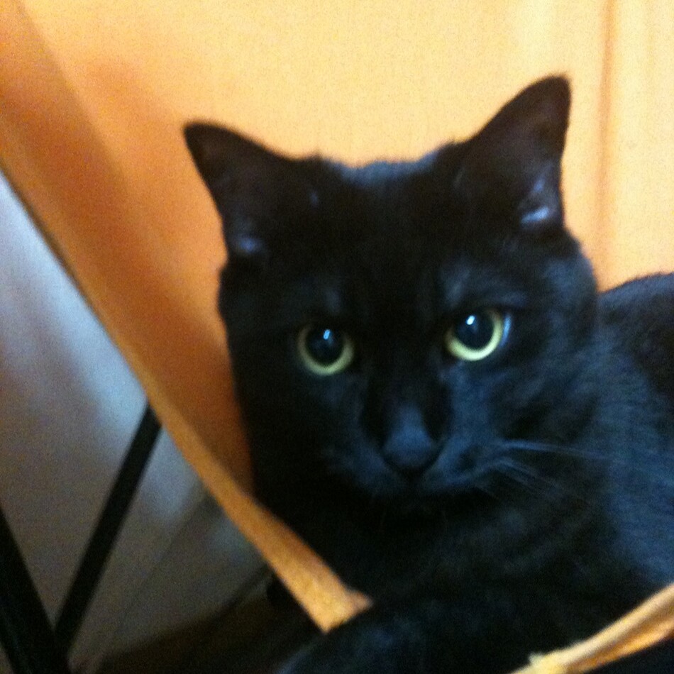 太郎のカバー写真