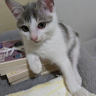 ムームーは、元気いっぱい