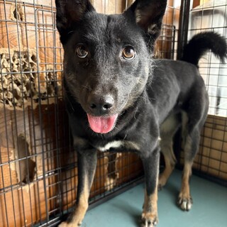 家族募集中！カムの笑顔、満開です！