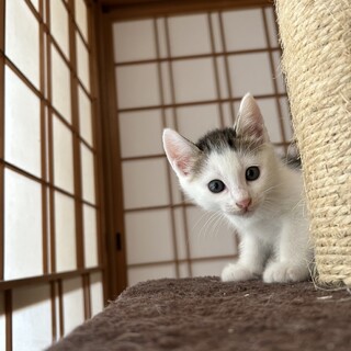 まったり仲良し3兄妹❤️