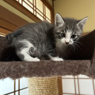 まったり仲良し3兄妹❤️