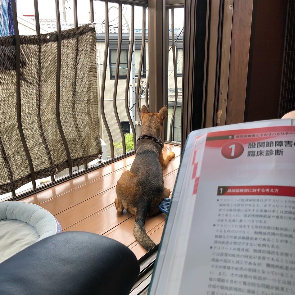 ガクのカバー写真