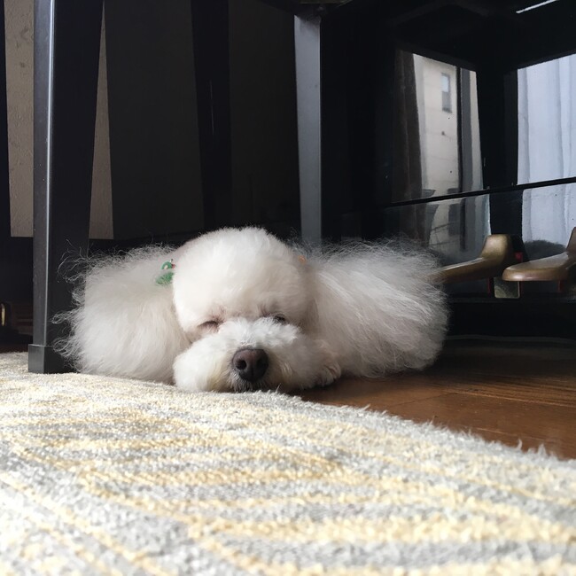 taruto1209のカバー写真