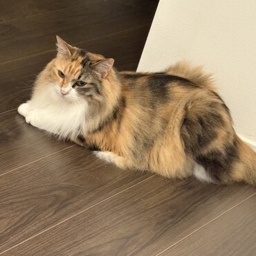 の写真
