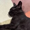 の写真