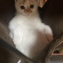 元気！勇気！めちゃ可愛い男の子