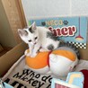 ゆめもさん