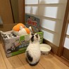 の写真