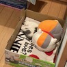 の写真