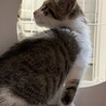 生後約３ヶ月の風花ちゃん♡ サムネイル3